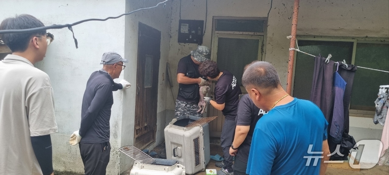 김제시 유기동물보호센터가 피부병을 앓던 유기견을 구조하고 있다.(김제시 제공, 재판매 및 DB 금지)