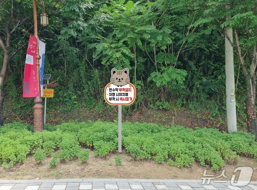 강원 영월군이 최근 영월소방서 회전교차로 등 2곳에 설치한 동물 캐릭터 모양의 불법현수막 금지 안내 표지판 모습. (영월군 제공. 재판매 및 DB금지) 2025.8.7/뉴스1