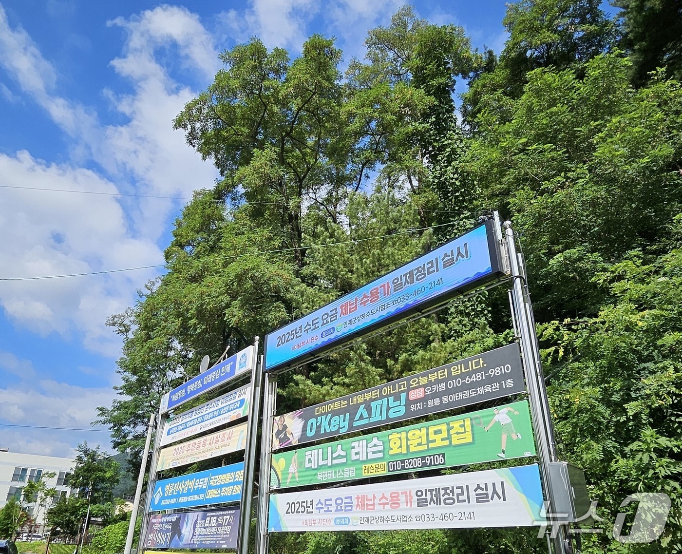 북면 서호교 앞 현수막 지정게시대.(인제군 제공. 재판매 및 DB금지)/뉴스1