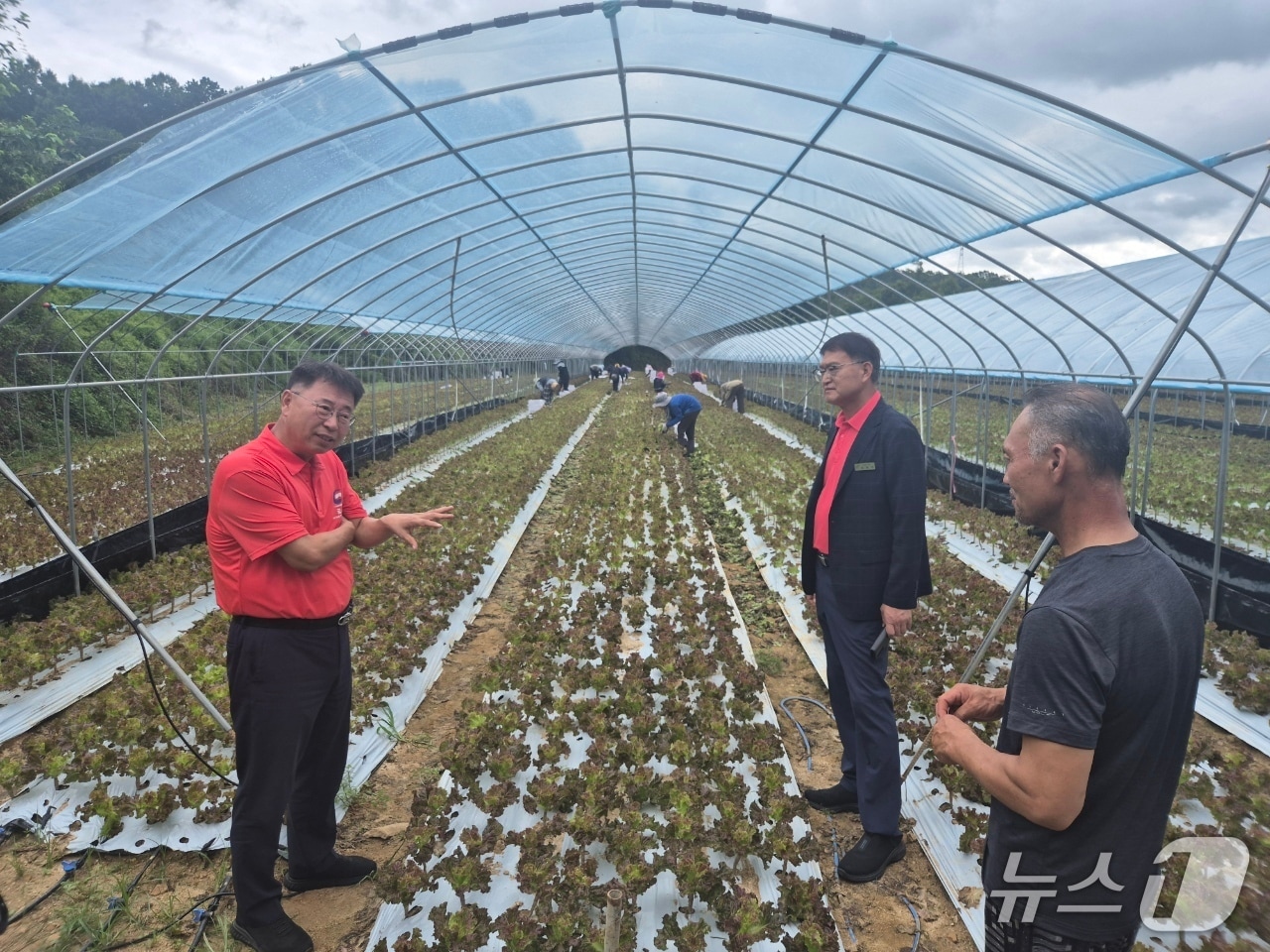 금산군 외국인 계절근로자 현장 점검 모습(금산군 제공.재판매 및 DB 금지) /뉴스1