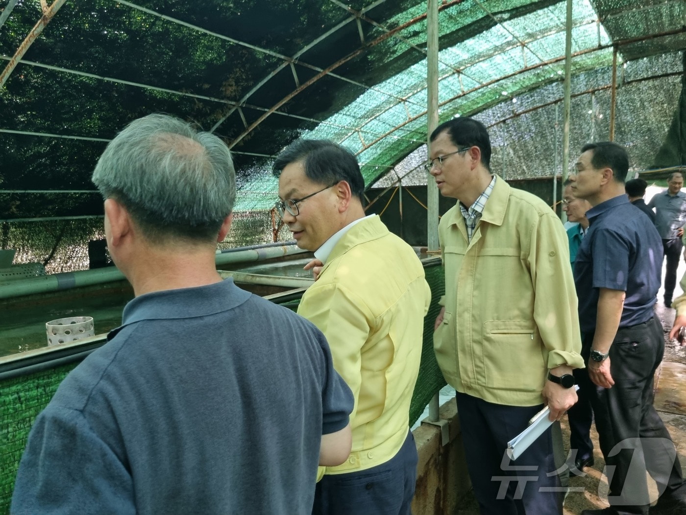 경북도가 연일 이어지는 폭염으로 인해 동해안 해역에 고수온 주의보가 발령됨에 따라 피해 최소화를 위한 총력 대응에 나섰다. 사진은 지난 5일 포항시의 육상 강도다리 양식장을 방문해 고수온 대응 장비 작동 현황과 사육 관리 상황을 점검하는 모습.(경북도 제공. 재판매 및 DB 금지)ⓒ News1 김대벽기자