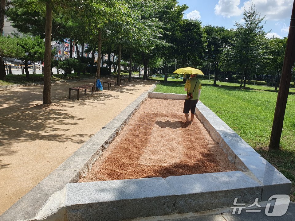 양주시 맨발길.