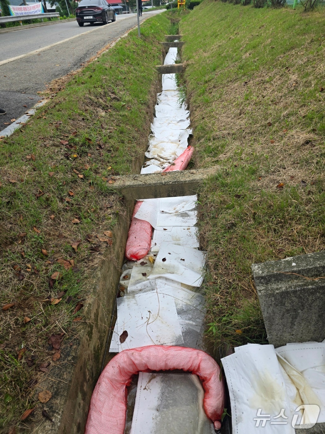 9일 오전 11시 28분쯤 충북 증평군 증평읍 대성베르힐아파트 앞 보강천으로 기름이 유출돼 증평군이 흡착포를 설치했다.(증평군 제공)/뉴스1