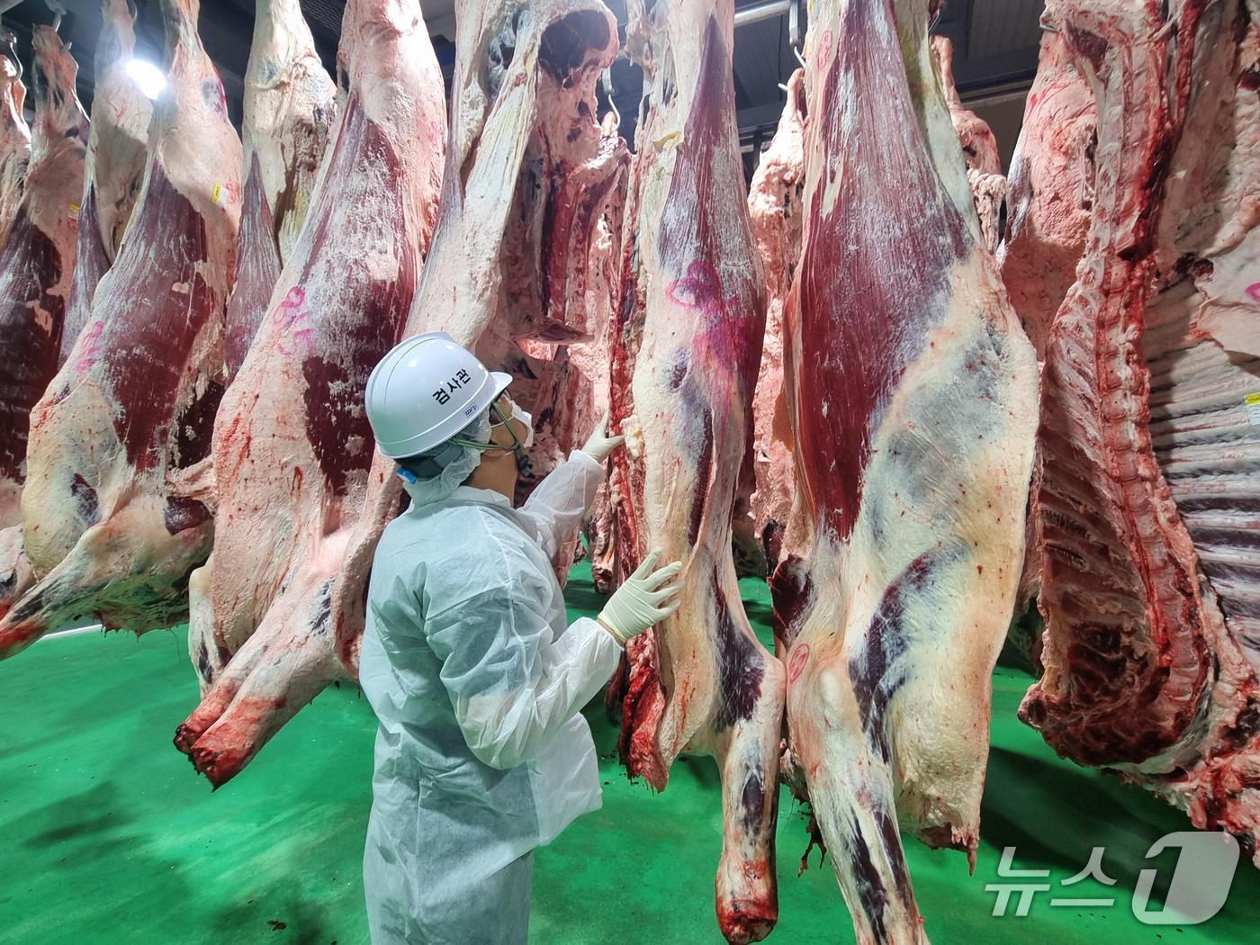 경남도 관계자가 도내 축산물 취급업소에서 위생점검을 하고 있다.(경남도 제공. 재판매 및 DB금지)