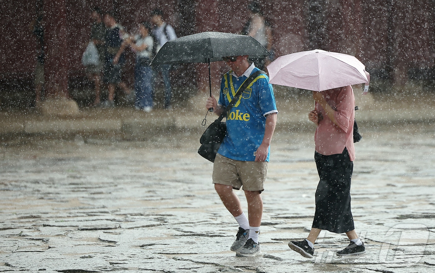 6일 전국 대부분 지역에서 비가 내리고 있다. /뉴스1 ⓒ News1 김진환 기자