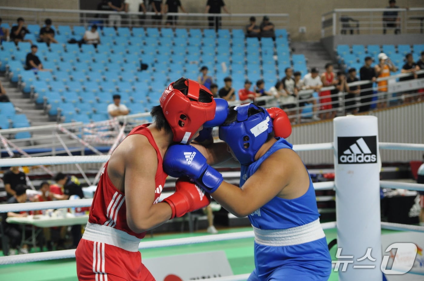 대통령배 전국시도복싱대회(제주도 제공. 재판매 및 DB금지)/뉴스1
