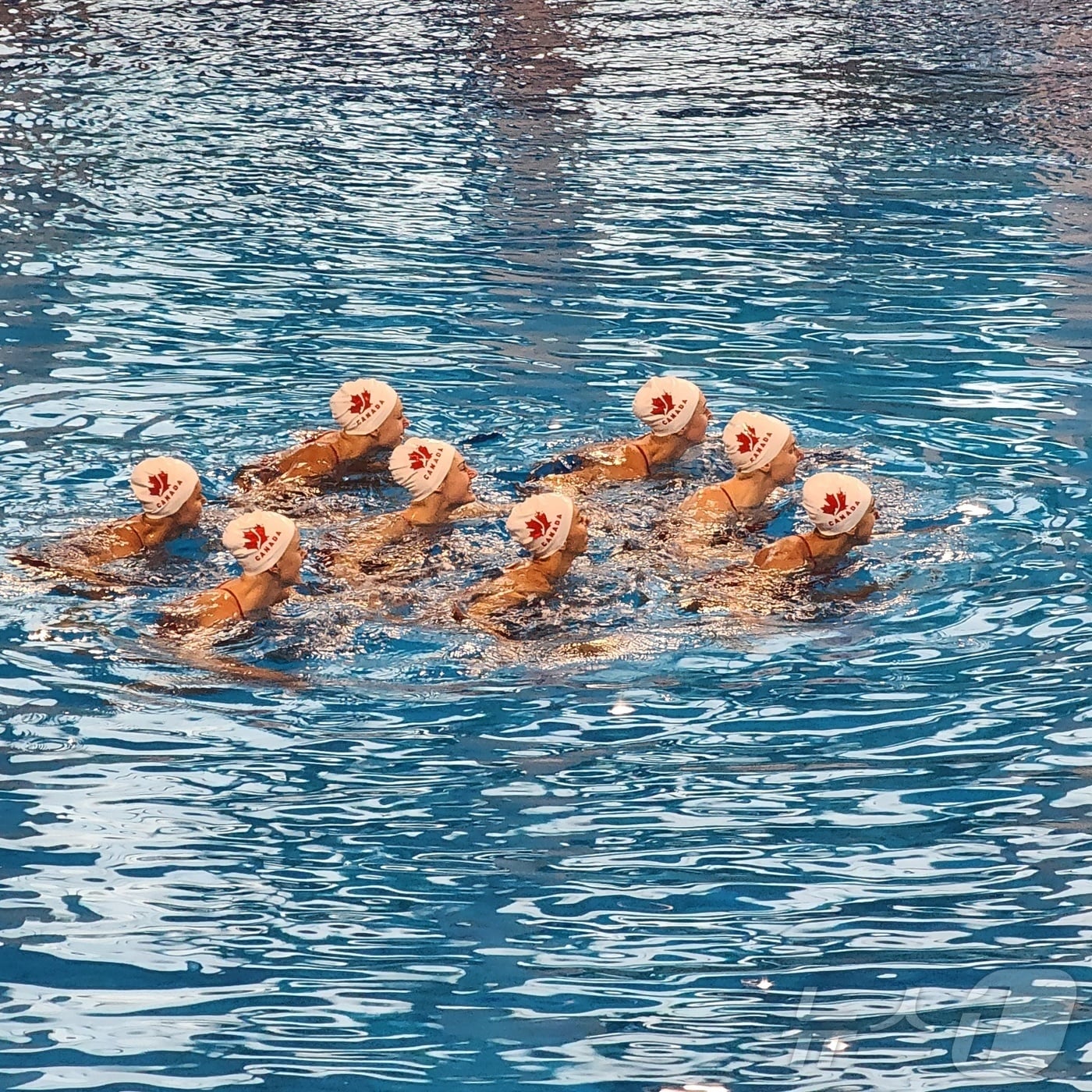 경북도는 10일 지난 6월~8월까지 21개 종목 124개 팀, 선수단 2261명(연인원 2만5000여명)이 경북을 전지훈련지로 선택해 하계 전지훈련지로 인기를 끌고 있다.(경북도 제공,재판매 및 DB 금지) /뉴스1