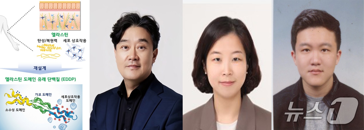 10일 포스텍&#40;포항공대&#41; 화학공학과 융합대학원 차형준 교수팈이 인하대 생명공학과 양윤정 교수팀과 공동연구로 천연 엘라스틴의 한계를 극복한 새로운 인공 생체소재 &#39;EDDP&#39;를 개발했다.  왼쪽부터 차형준 교수, 양윤정 교수, 포스텍 통합과정 조승겸 
