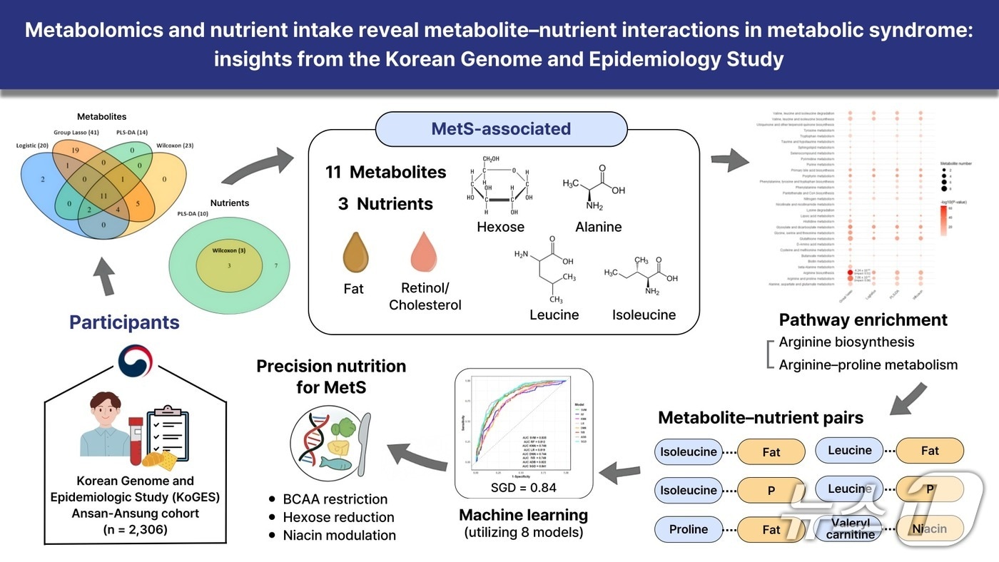 대사체-영양소 상호작용 연구 모식도.(인하대 제공. 재배포 및 DB금지)2025.9.10/뉴스1