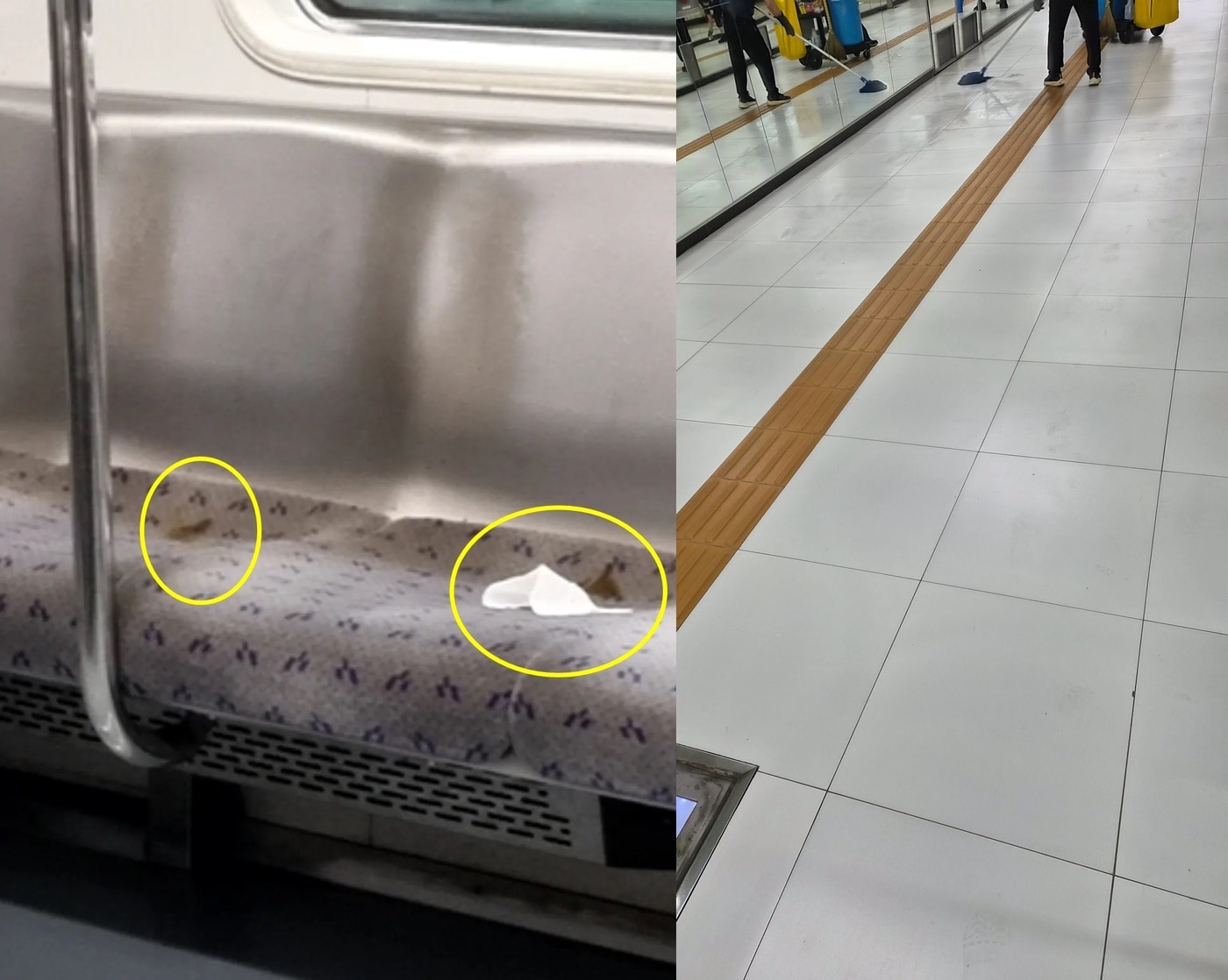 (보배드림 갈무리)