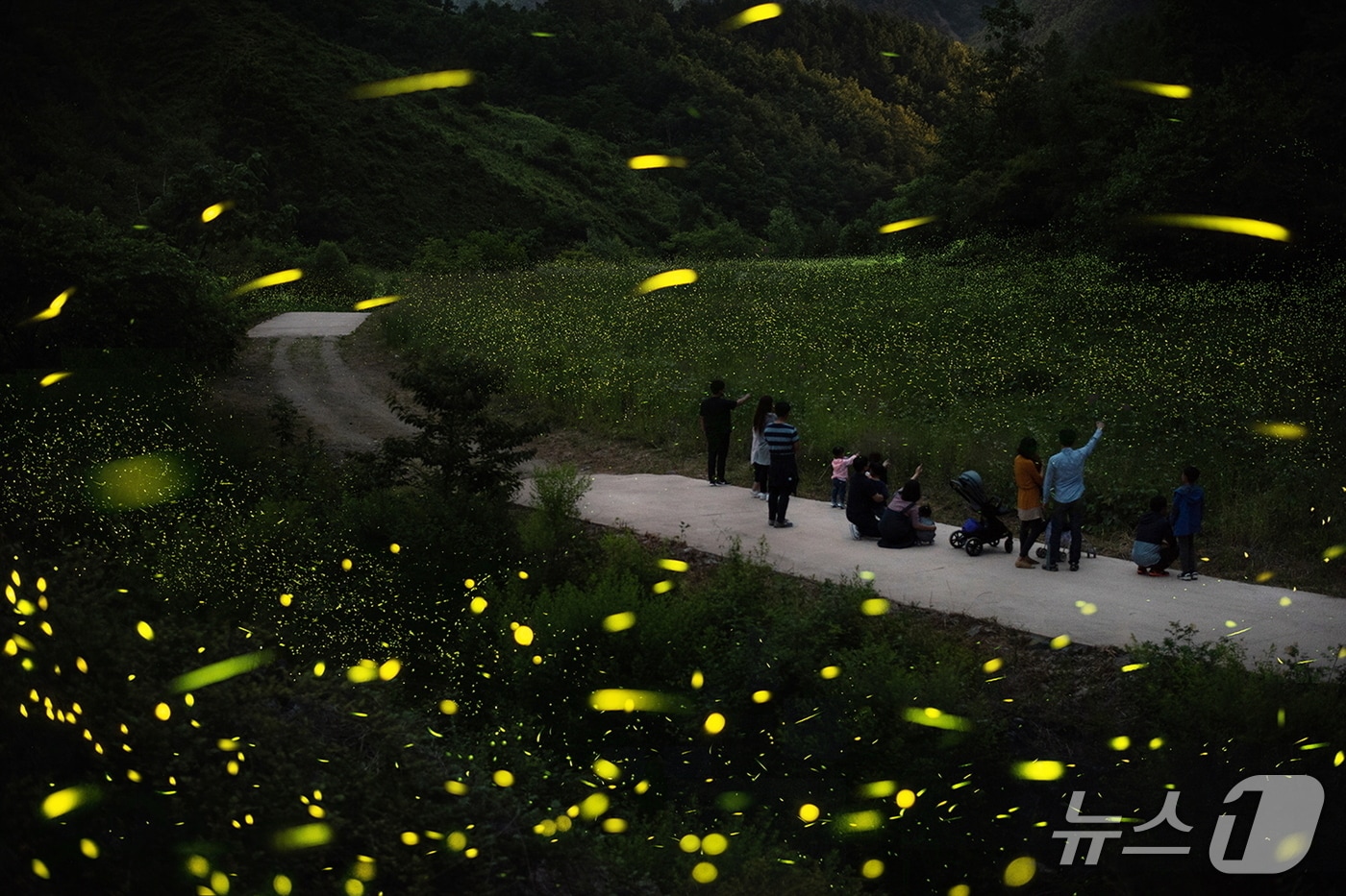 제29회 무주반딧불축제 현장.&#40;무주군 제공. 재판매 및 DB 금지&#41;
