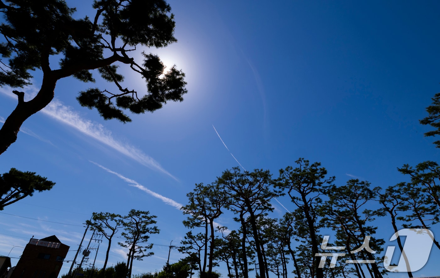 자료사진/뉴스1 ⓒ News1 