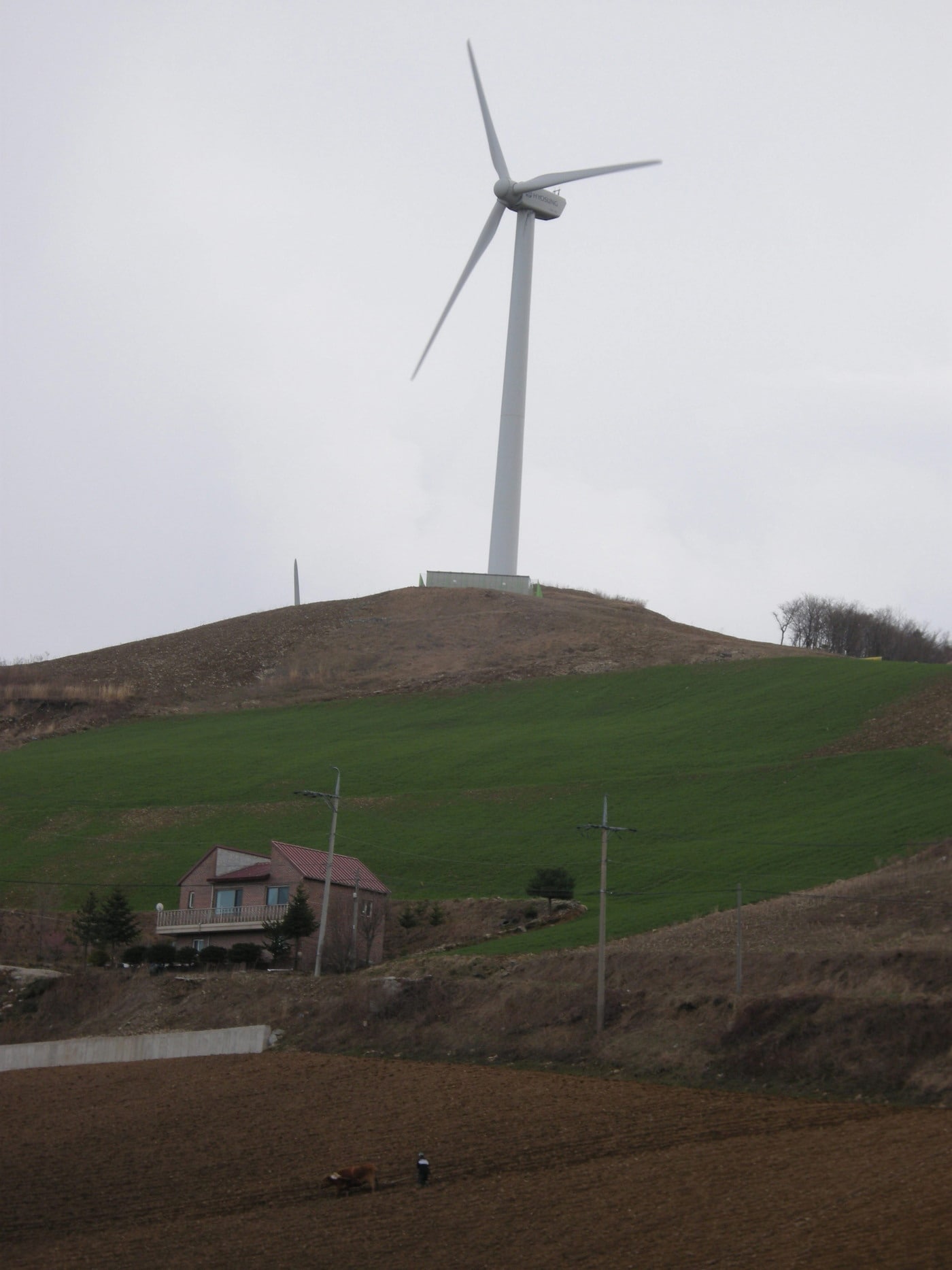 피복작물 사진 &#40;농촌진흥청 제공&#41; 2025.9.11 /뉴스1