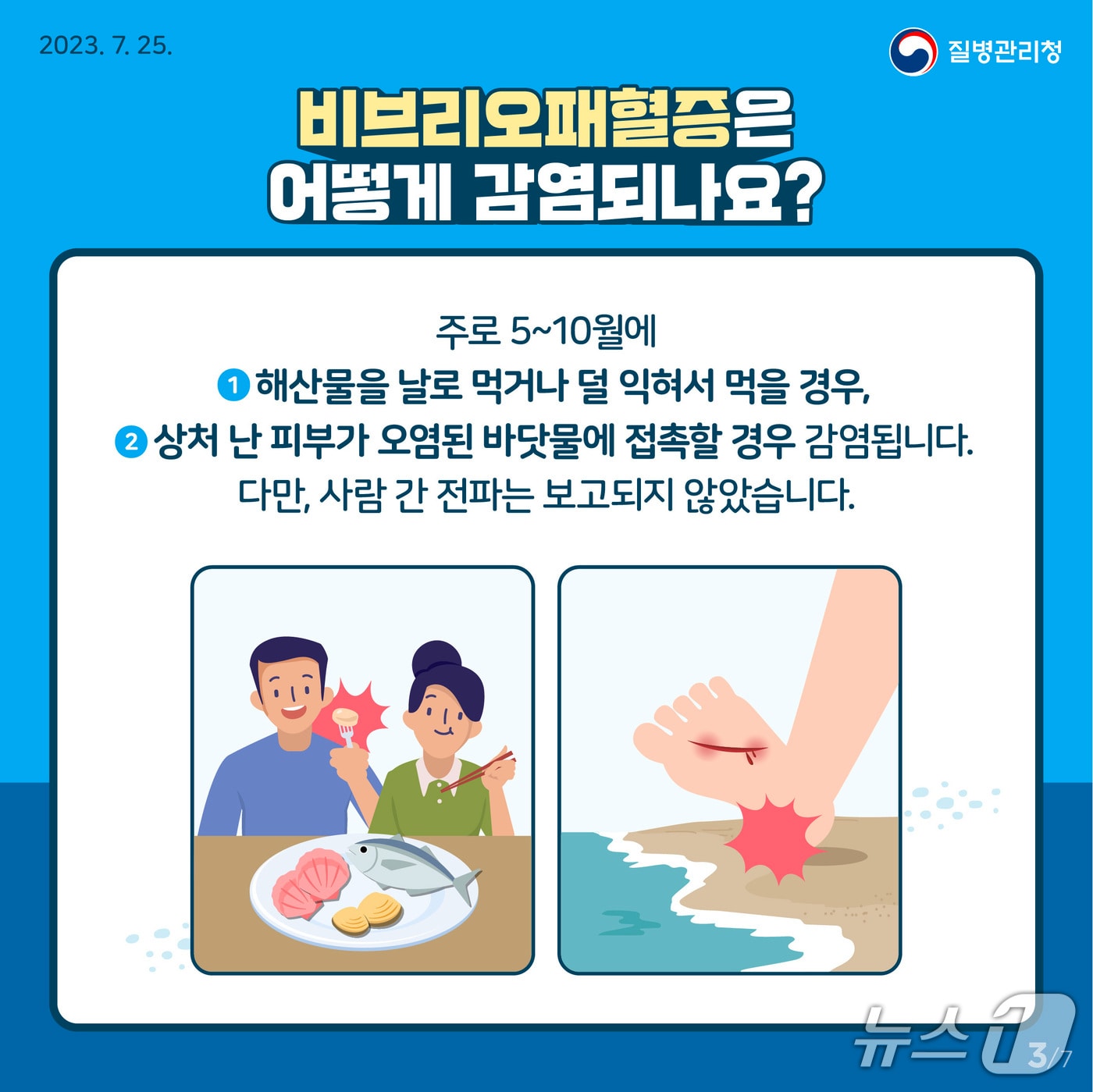 비브리오패혈증 예방 홍보물.(전남도 제공. 재판매 및 DB금지)2025.9.12/뉴스1