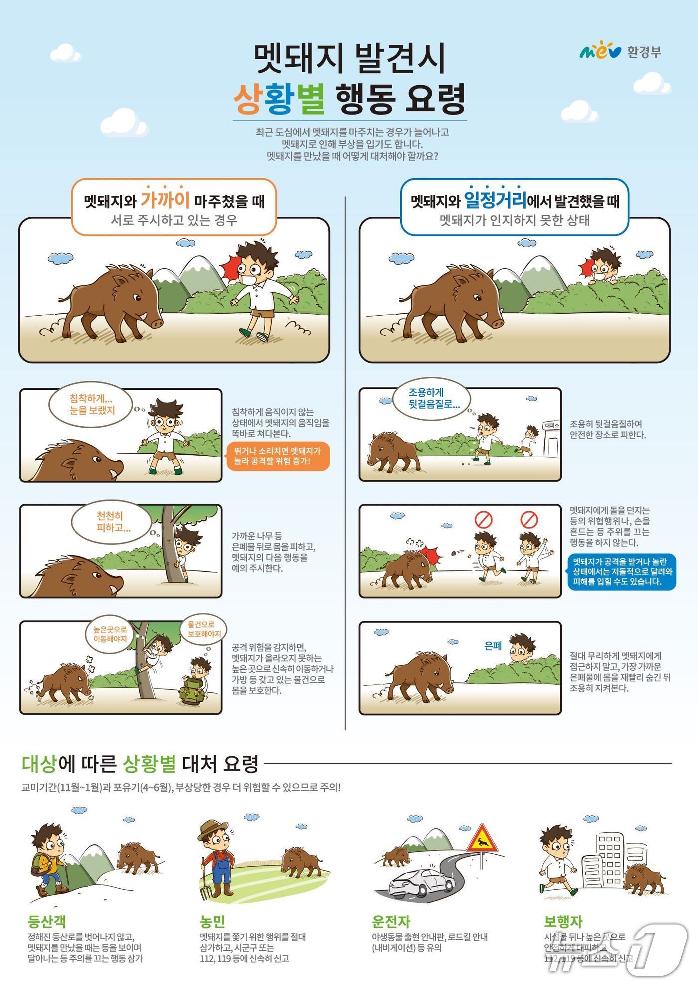 멧돼지 발견시 행동요령.(환경부 제공. 재판매 및 DB금지)
