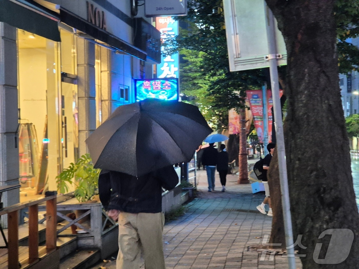 지난 12일 오후 강원 강릉 교통 일대에서 우산을 쓴 시민들이 발걸음을 옮기고 있다. 기상청은 극심한 가뭄이 이어지는 강릉을 포함한 동해안에 오는 14일까지 30~80㎜(많은 곳 북부동해안 100㎜이상)의 비가 내릴 것으로 예보했다.2025.9.12./뉴스1 윤왕근기자 ⓒ News1 윤왕근 기자