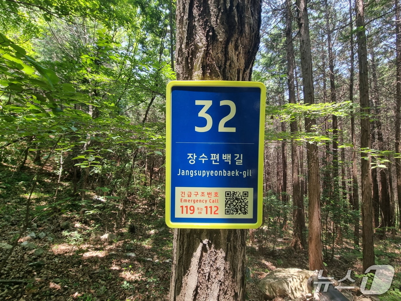 고흥의 한 숲길에 부여된 도로명 모습.(전남도 제공. 재판매 및 DB금지) 2025.9.13/뉴스1