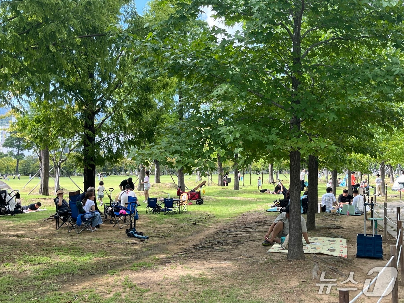 14일 부산시민공원을 찾은 시민들이 돗자리를 펴고 앉아 있다.2025.9.14/뉴스1 ⓒ News1 장광일 기자