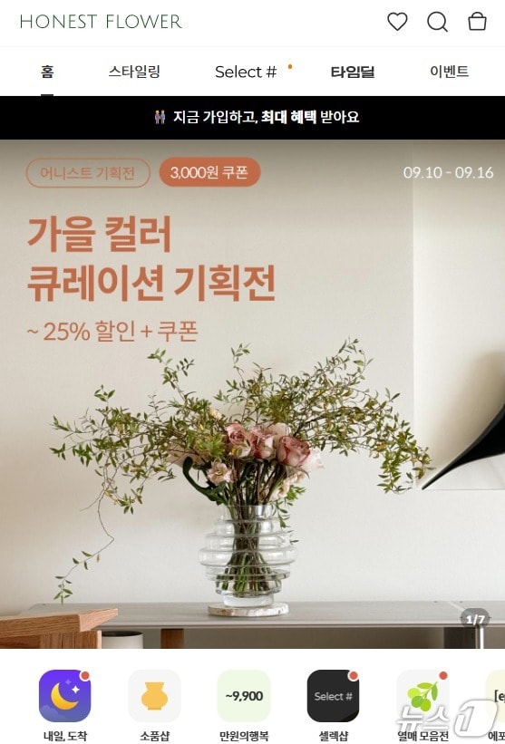 화훼 유통 디지털전환 아레스3, 10억 규모 시리즈A 투자 유치 - 뉴스 썸네일 이미지