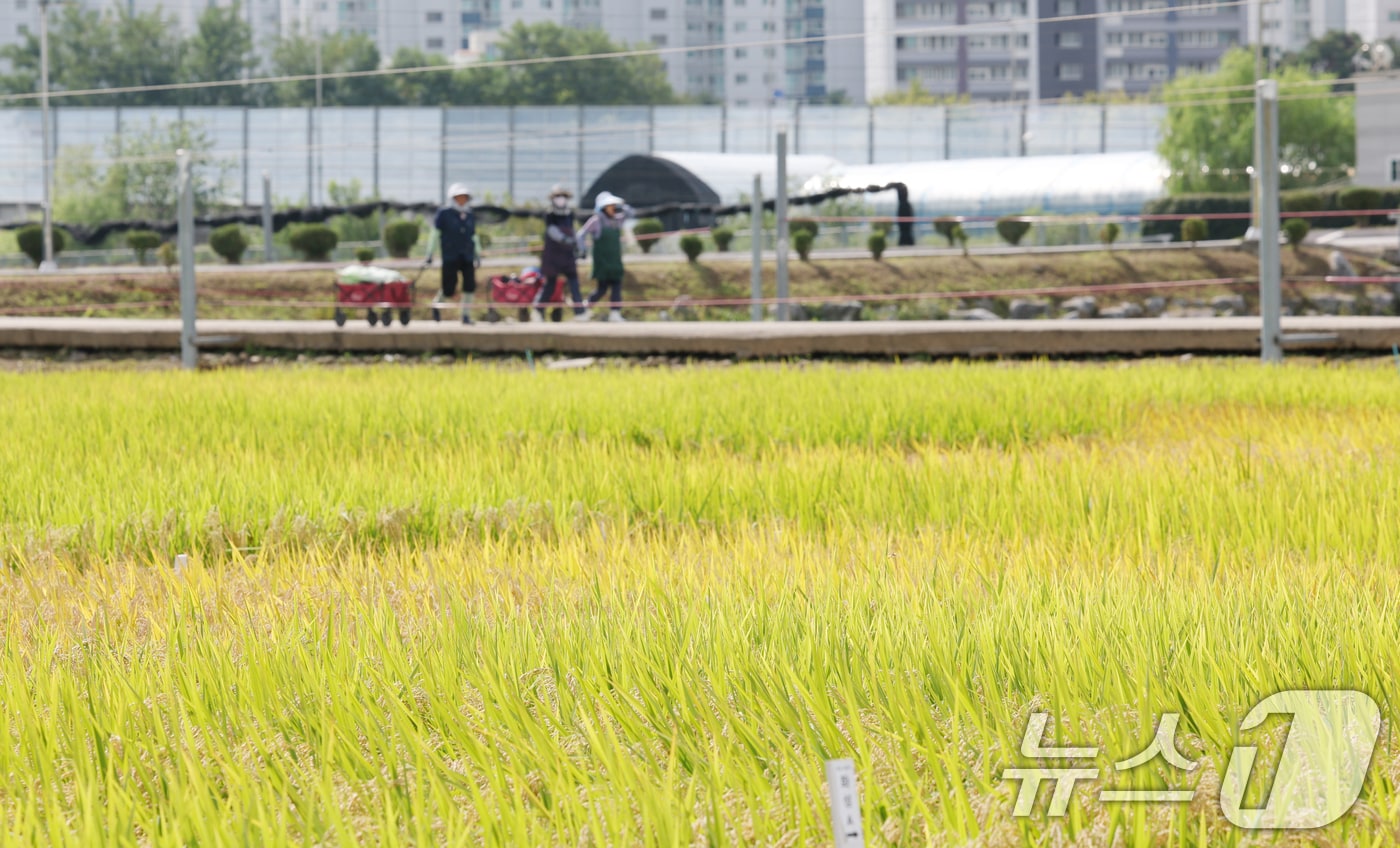 &lt;자료사진&gt; 2025.9.15/뉴스1 ⓒ News1 김영운 기자