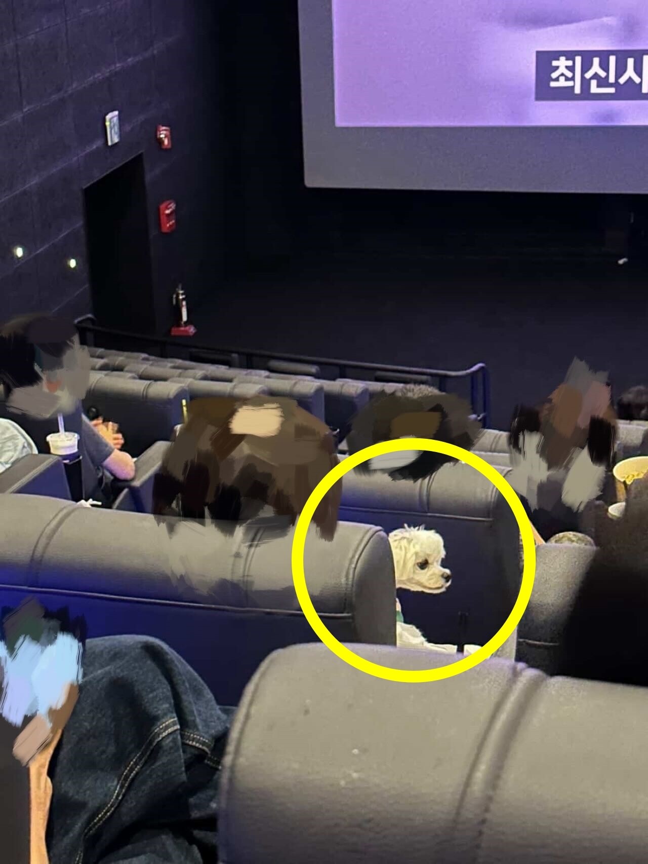 &#40;SNS 갈무리&#41;