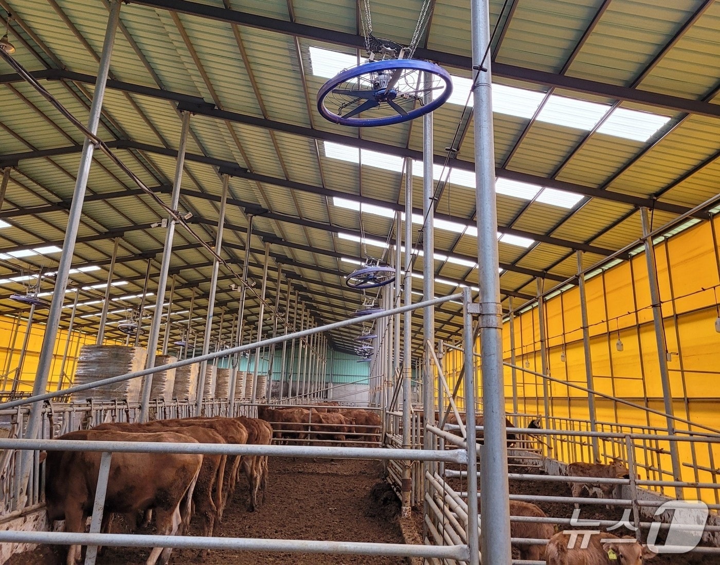 축사 모습.(전남도 제공. 재판매 및 DB금지) 2025.9.15/뉴스1