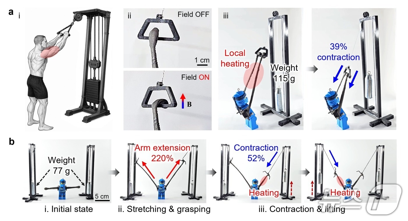 로봇 팔 시스템을 통한 자기 인공근육의 동작 시연 모습.(UNIST 제공. 재판매 및 DB금지)/뉴스1