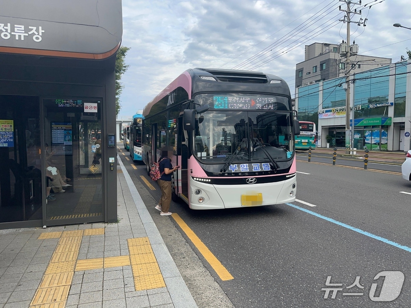 진주시내버스(진주시 제공. 재판매 및 DB금지)