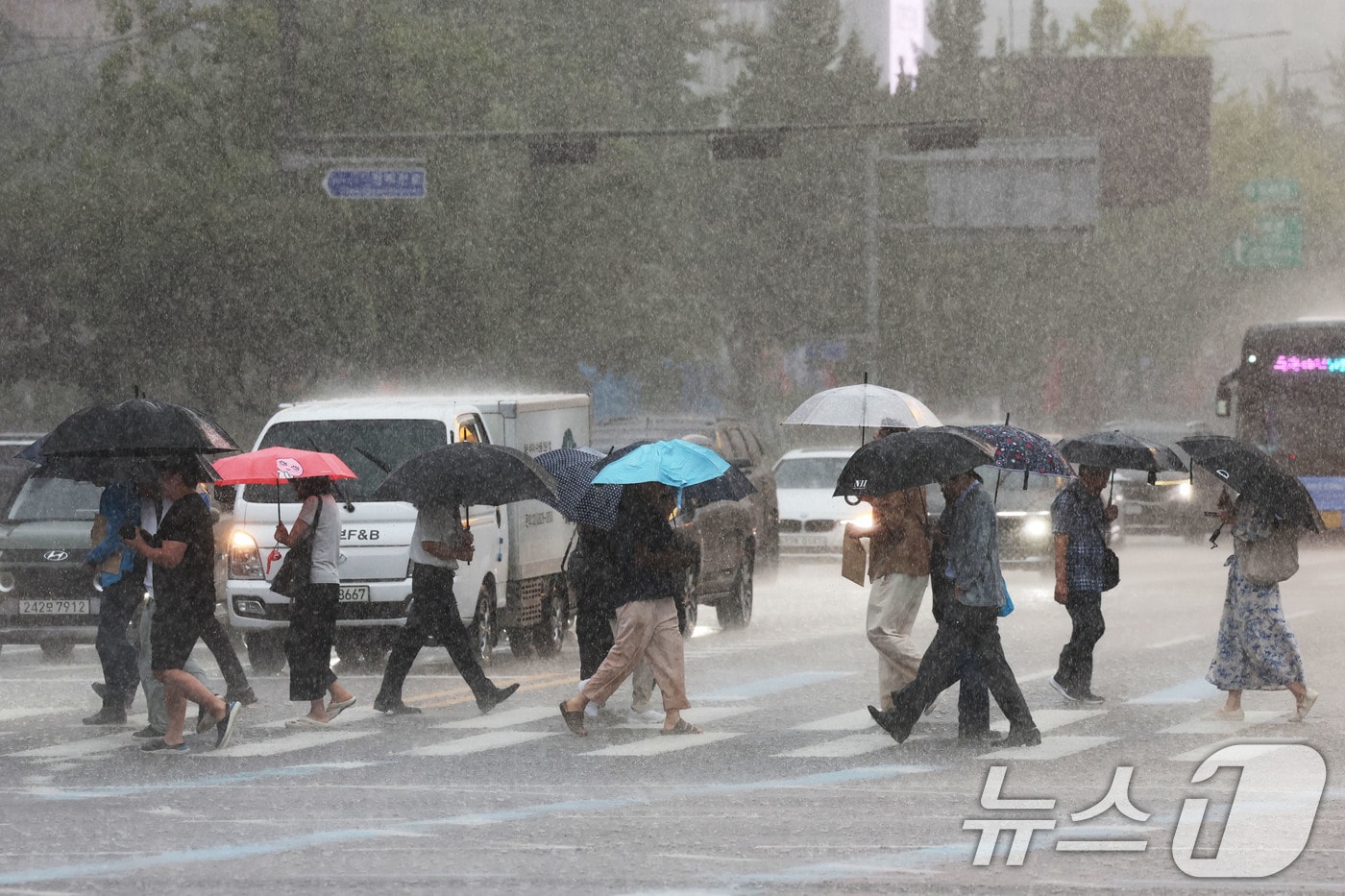 자료사진./ News1