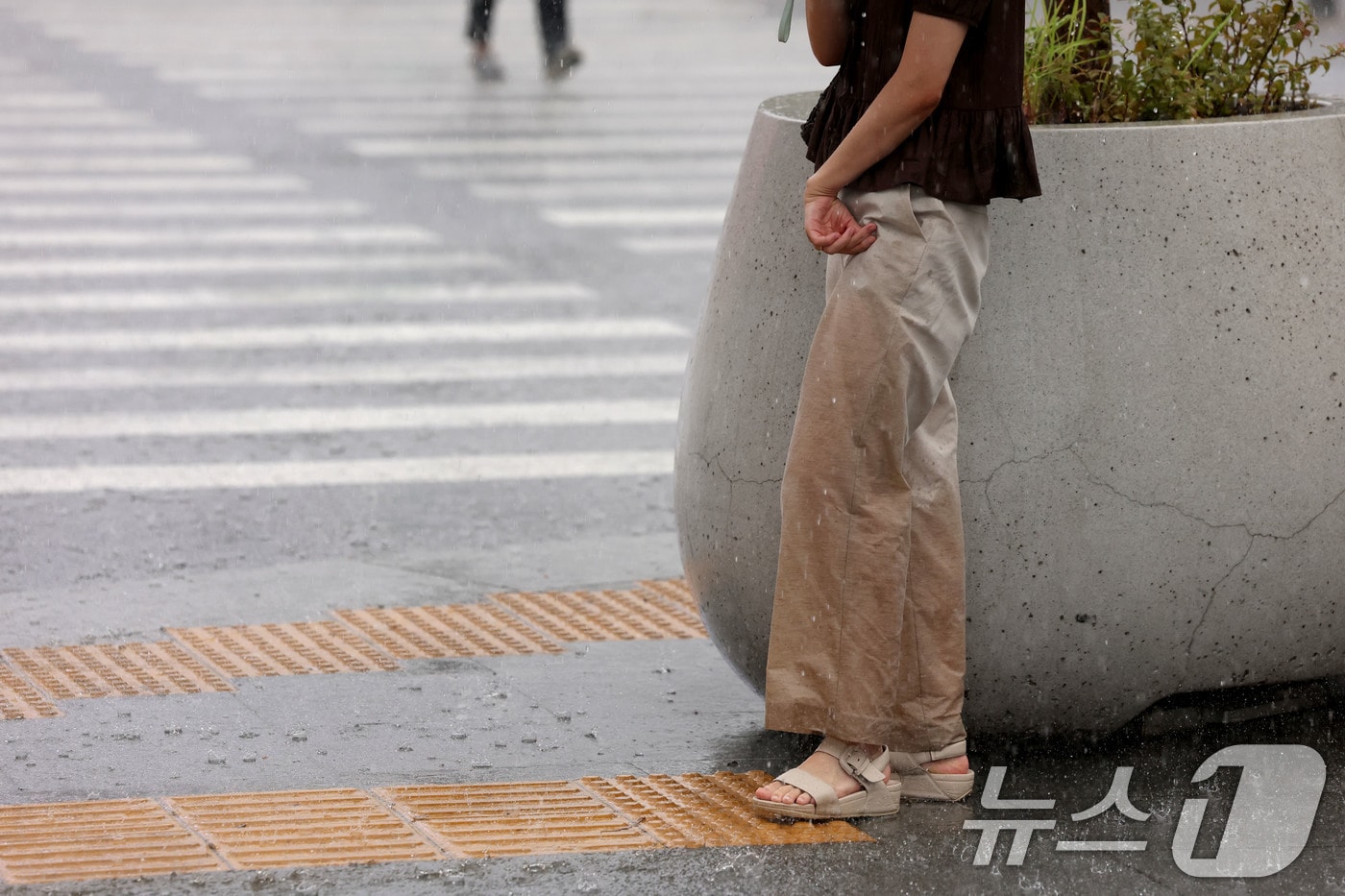 가을비가 내리는 날 우산을 쓴 한 시민이 보행신호를 기다리고 있다. 2025.9.17/뉴스1 ⓒ News1 이광호 기자