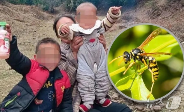 관련 시각물 - SCMP 갈무리