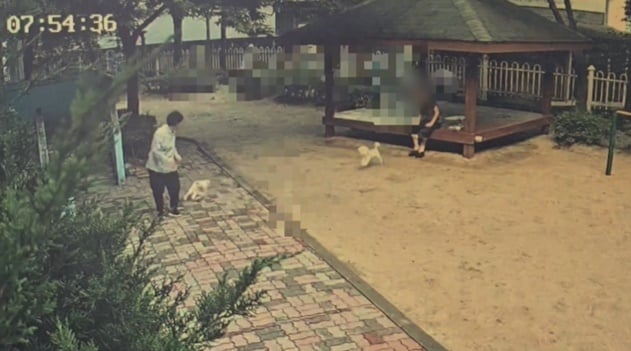 &#40;보배드림 갈무리&#41;