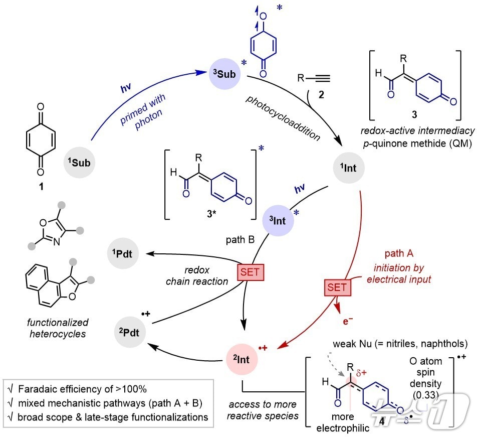 반응 시스템에 대한 도식화(한국연구재단 제공) /뉴스1
