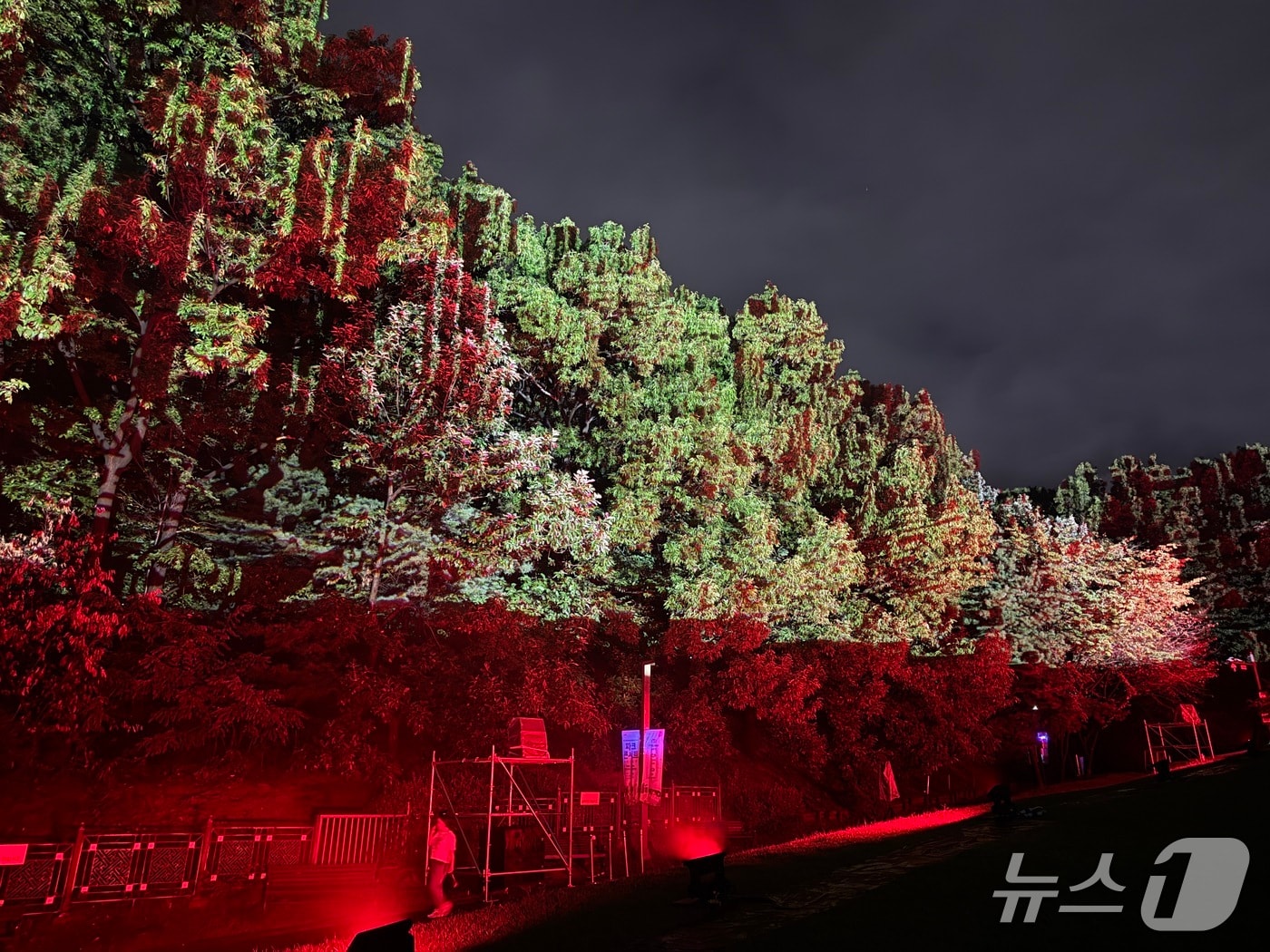 이진준 KAIST 문화기술대학원 교수가 연출한 프로젝션 매핑&#40;KAIST 제공&#41; /뉴스1