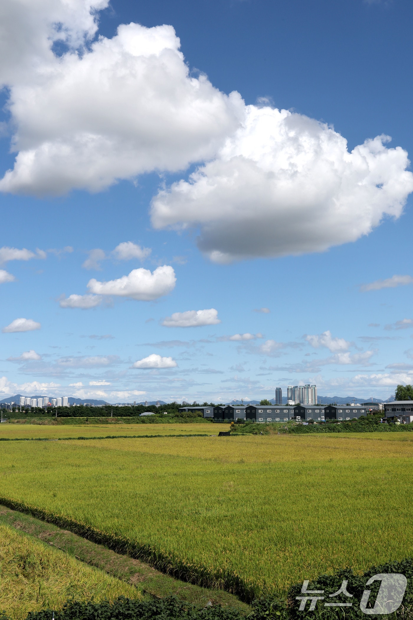 날씨 자료사진. /뉴스1