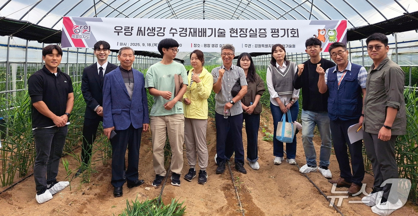 강원농업기술원, 씨생강 수경재배기술 현장평가회.(뉴스1 DB)