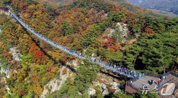 강원 원주시 소금산그랜드밸리 내 출렁다리 자료 사진. &#40;원주시시설관리공단 제공. 재판매 및 DB금지&#41; 2025.9.19./뉴스1