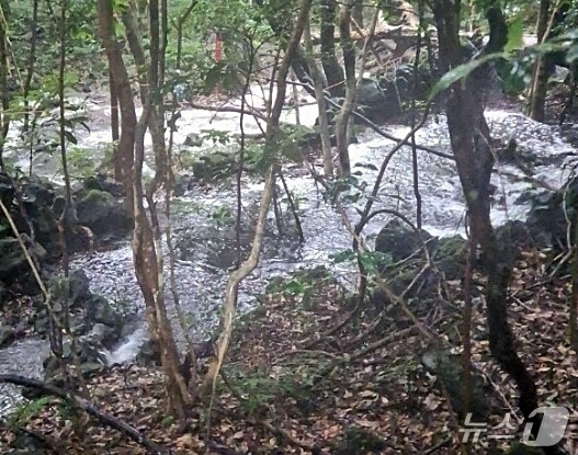 2일 오후 한라산 둘레길 5코스 중간에 빗물이 모여 계곡처럼 변해버린 모습.(제주도소방안전본부 제공. 재판매 및 DB 금지)