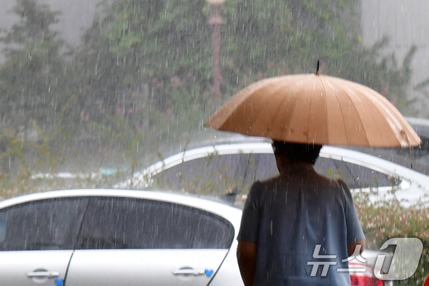 지난 2일 경북 포항지역에 국지성 소나기가 쏟아지고 있다. 2025.9.2/뉴스1 ⓒ News1 최창호 기자