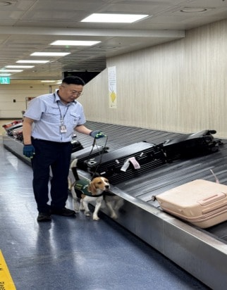 검역탐지견을 활용한 농축산물 검역 과정(농림축산검역본부 제공) 2025.9.20 /뉴스1