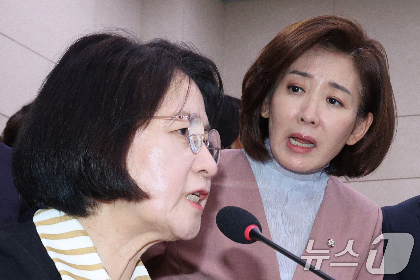 나경원 국민의힘 의원이 지난 22일 서울 여의도 국회 법제사법위원회에서 열린 검찰개혁 입법청문회에서 퇴장 명령을 한 추미애 위원장에게 항의하고 있다. 2025.9.22/뉴스1 ⓒ News1 신웅수 기자