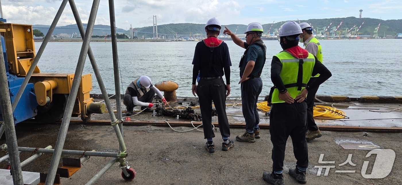 울산항만공사가 추석 명절을 앞두고 항만시설물 안전점검을 실시하고 있다.(울산항만공사 제공. 재판매 및 DB금지)/뉴스1