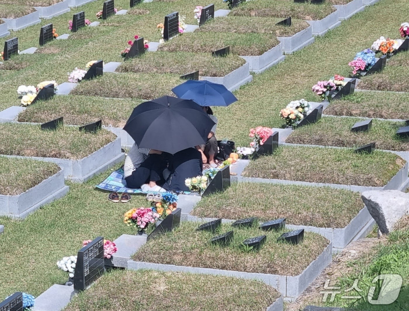 강릉 청솔공원 성묘객.(뉴스1 DB)