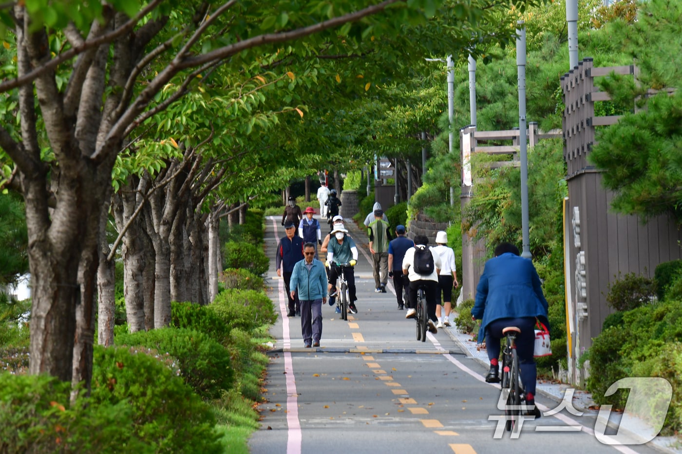 경북 포항시 남구 철길 숲에서 긴팔 차림의 시민들이 숲길을 따라 산책하고 있다. 2025.9.23/뉴스1 ⓒ News1 최창호 기자