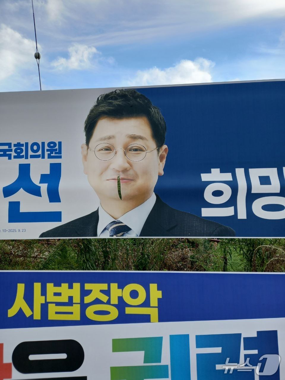 울산 동구 서부동에 게시된 김태선 국회의원의 현수막이 훼손돼 있다. (김태선 의원실 제공. 재판매 및 DB금지)/뉴스1