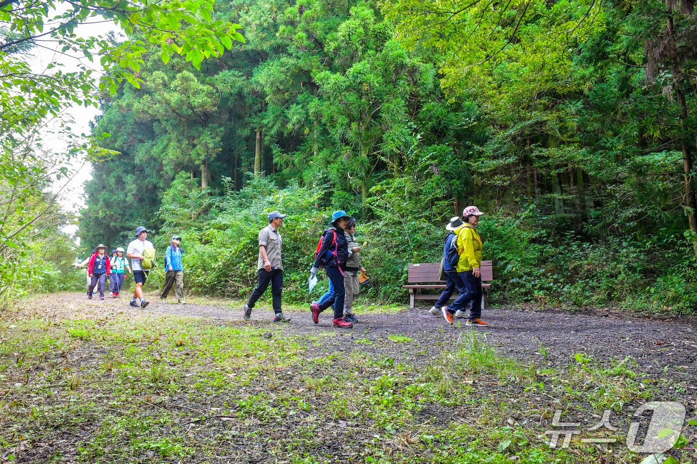  삼다수숲길(자료사진)/뉴스1