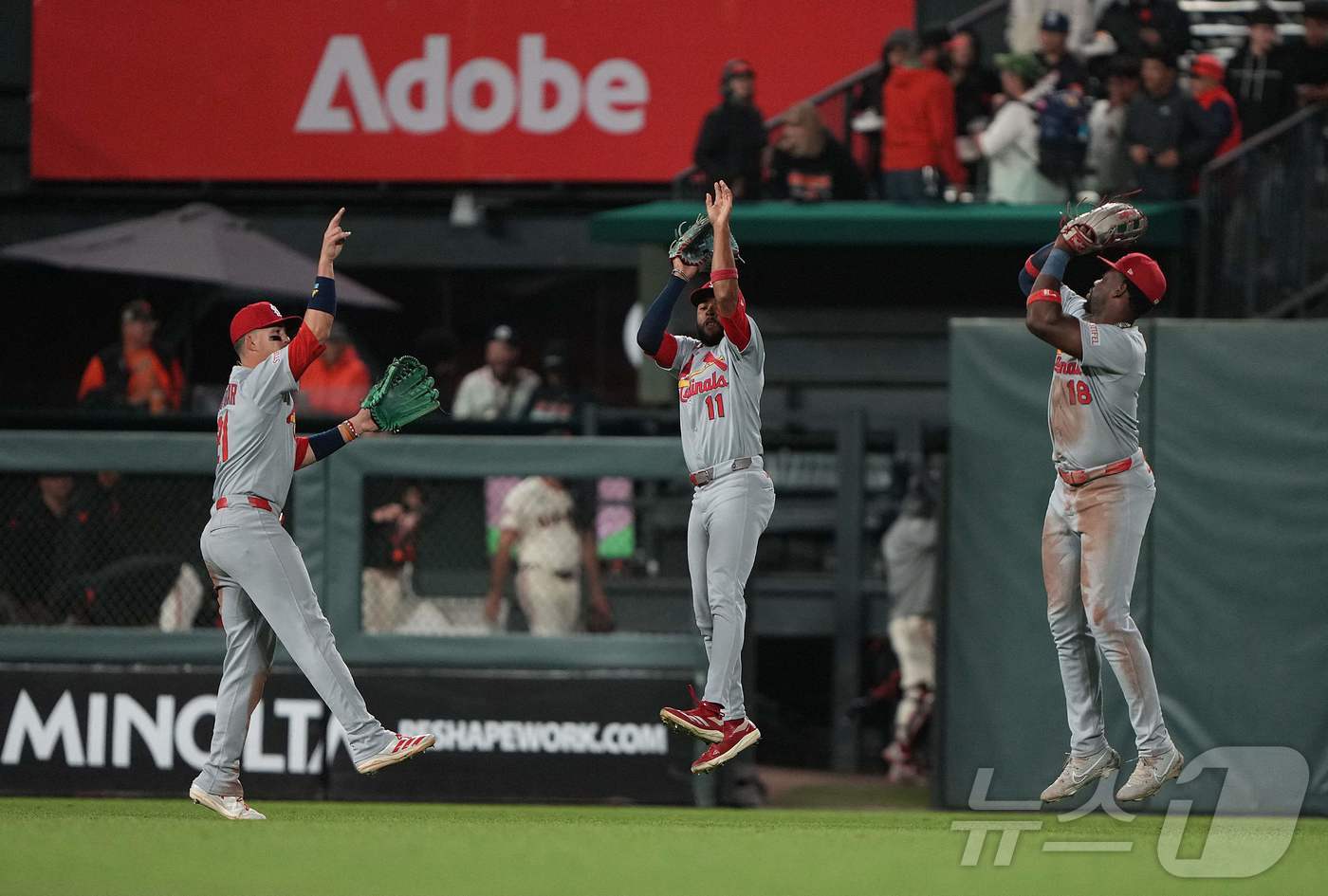 MLB 샌프란시스코가 세인트루이스에 역전패를 당했다.ⓒ AFP=뉴스1