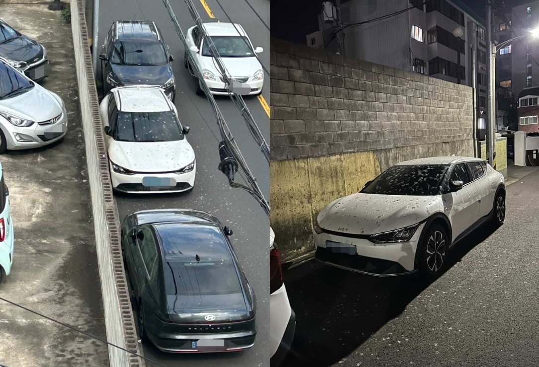 (보배드림 갈무리)