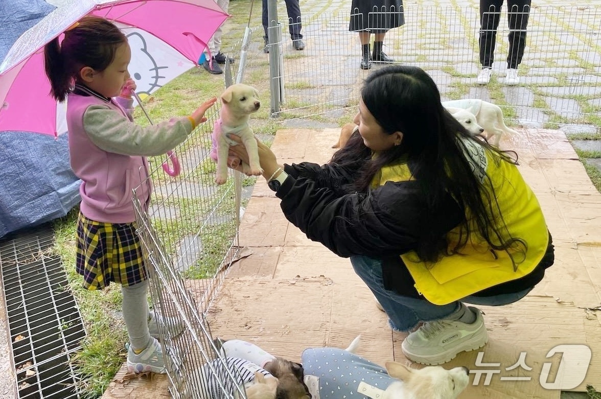 전북 정읍시가 펫보험 가입비를 지원한다.(정읍시 제공. 재판매 및 DB금지)/뉴스1 