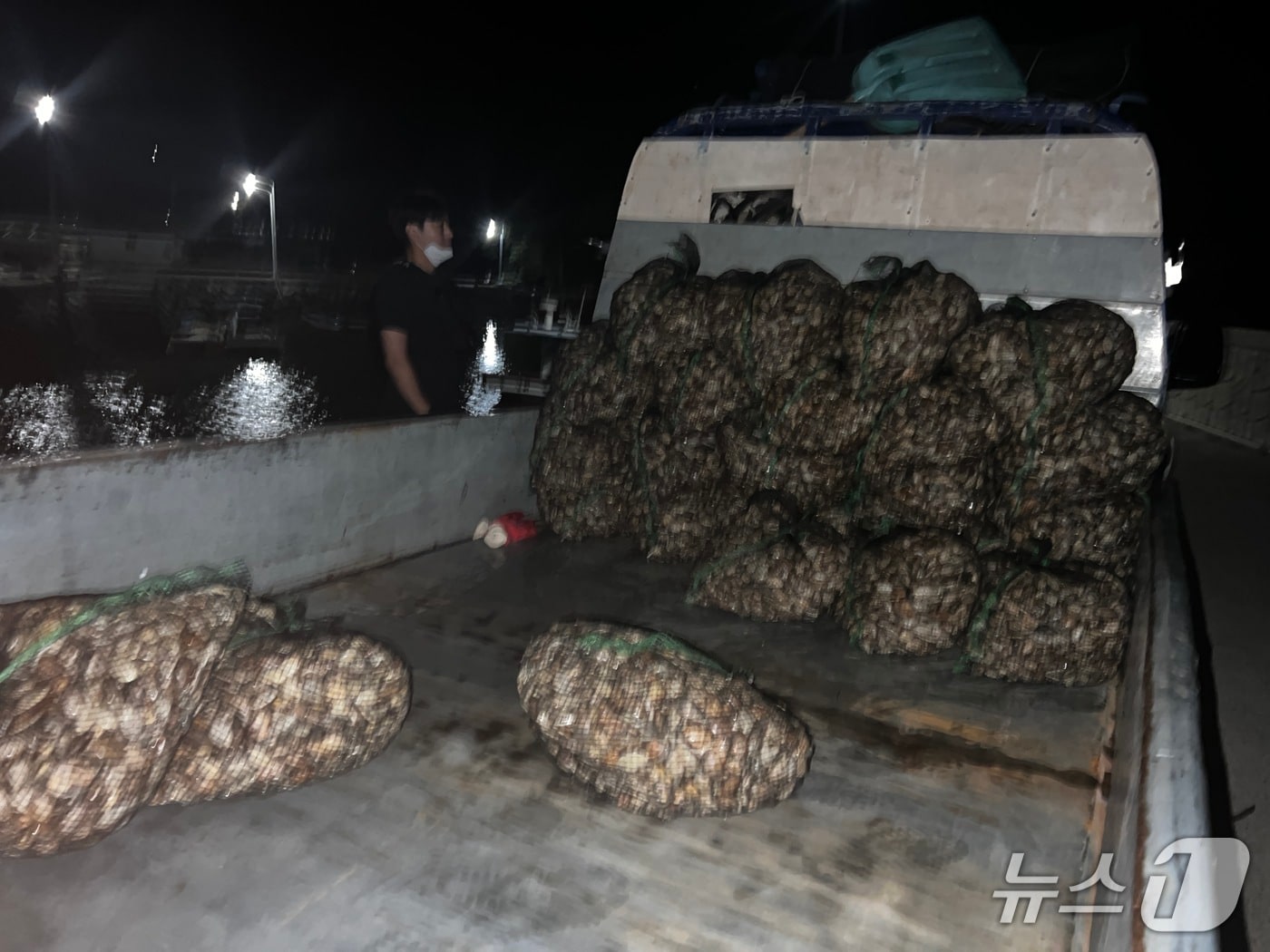 불법으로 포획한 바지락을 운송하고 있는 차량.(사천해경 제공. 재판매 및 DB금지)